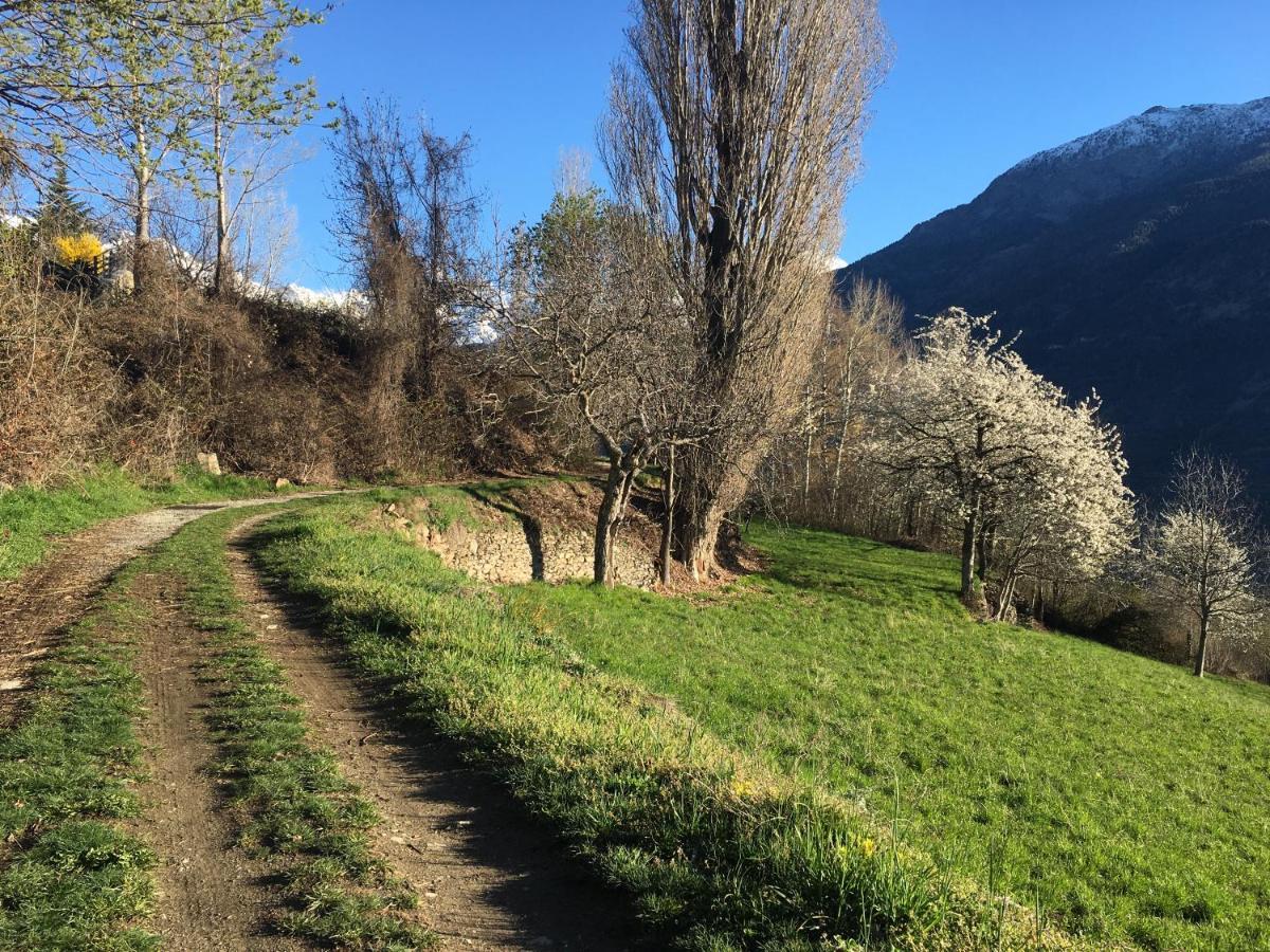 La Casa Del Bosco Διαμέρισμα Αόστα Εξωτερικό φωτογραφία