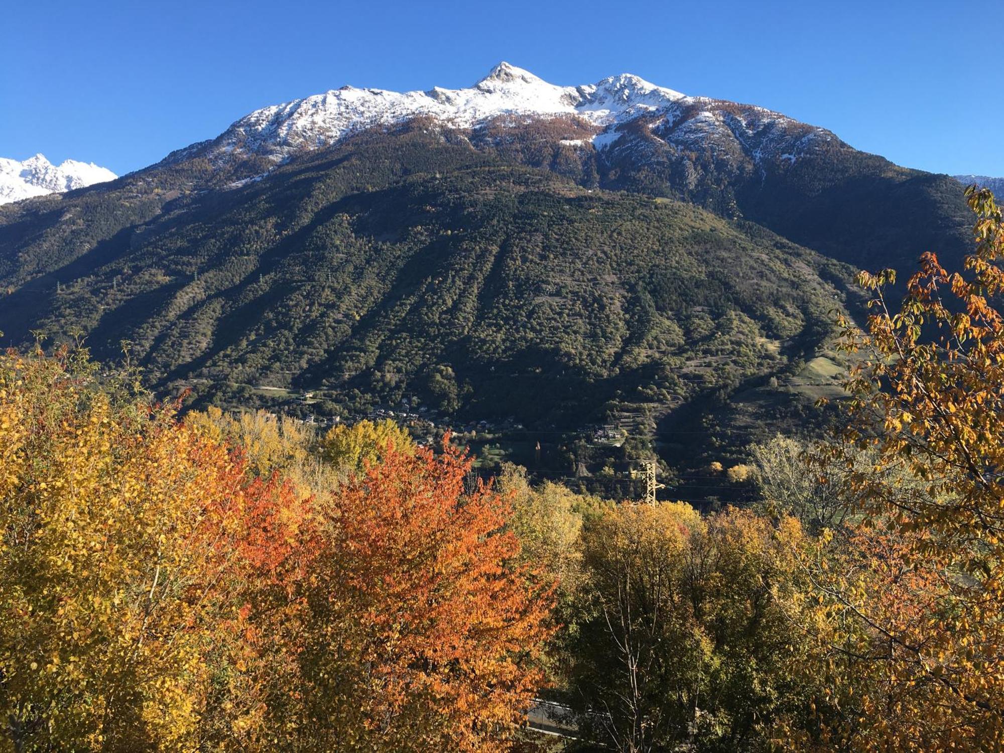 La Casa Del Bosco Διαμέρισμα Αόστα Εξωτερικό φωτογραφία