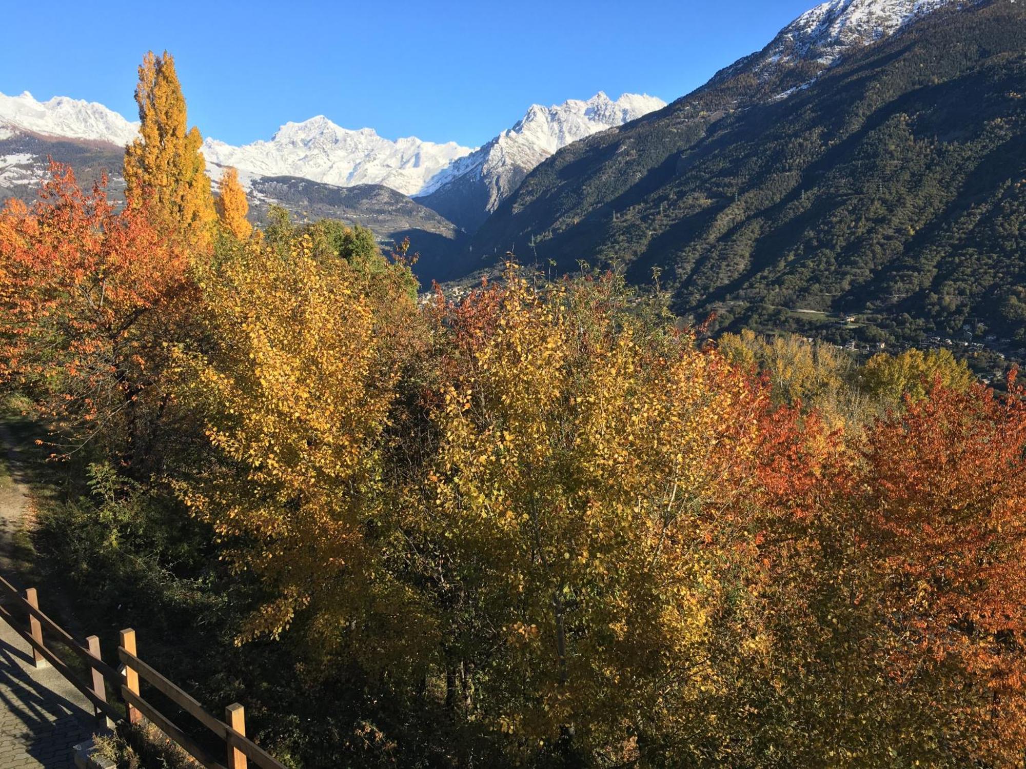 La Casa Del Bosco Διαμέρισμα Αόστα Εξωτερικό φωτογραφία